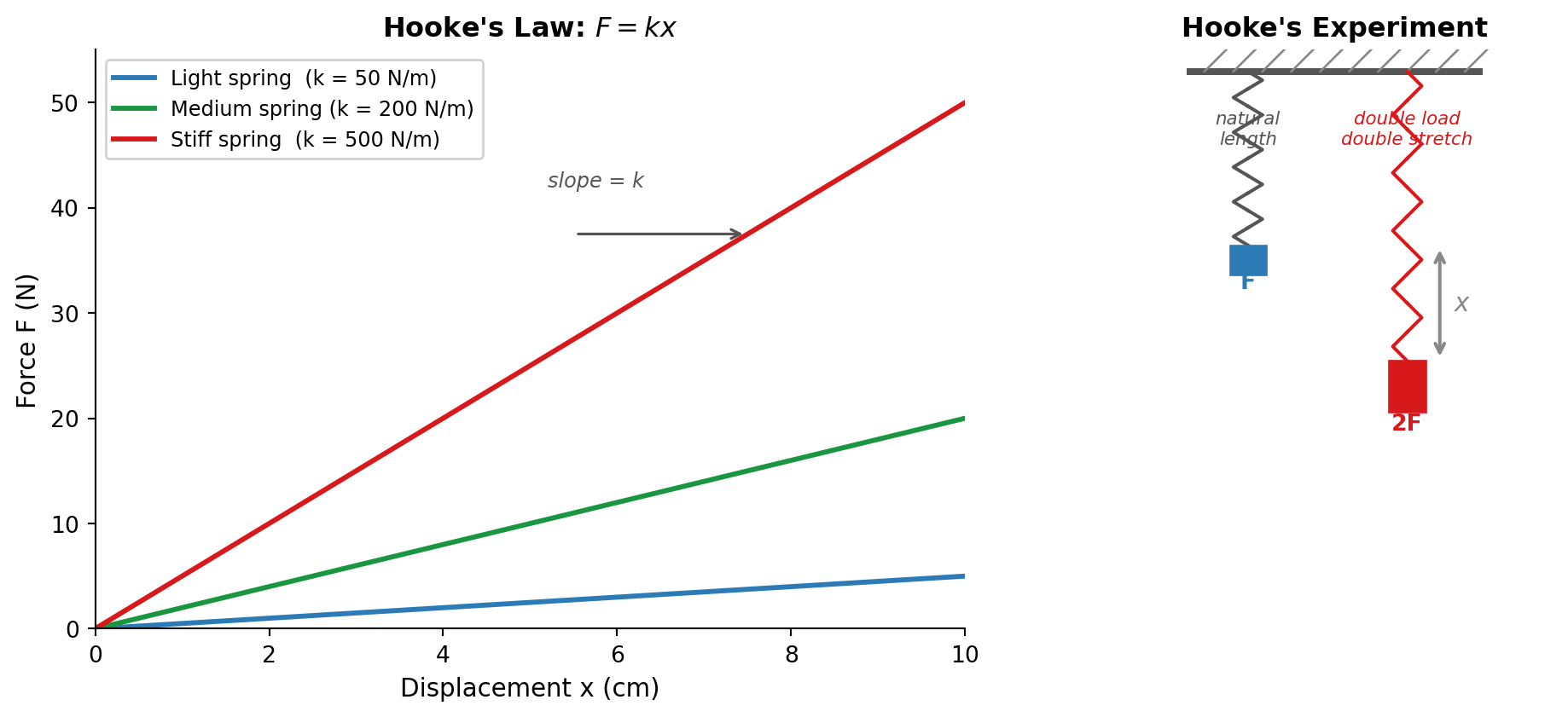 Graph of force versus displacement for three springs with k values of 50, 200, and 500 N/m, showing three straight lines of increasing slope emanating from the origin.